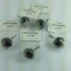 Bargainwizz Hand Painted Knobs Collectibles